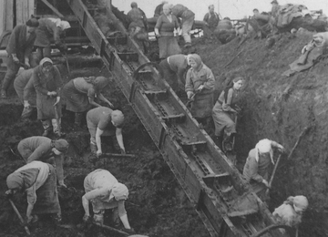 Заготовка торфа в поселке Щеглово Ленинградской области. 1945 год