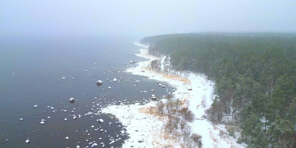 Новая экотропа в Ленинградской области